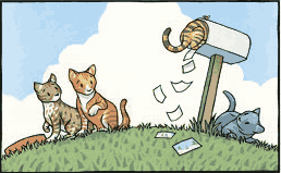 illustration from A Kitten Tale. Copyright Eric Rohmann